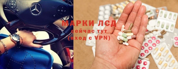 сатива Армянск